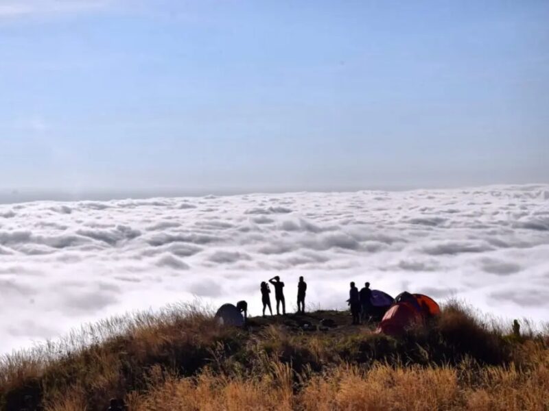 Camping Cerro Puñay