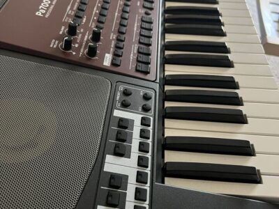 Teclado Korg PA700