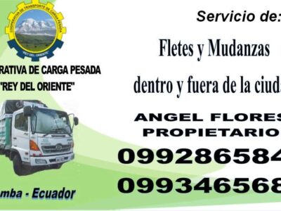 SERVICIO DE MUDANZAS
