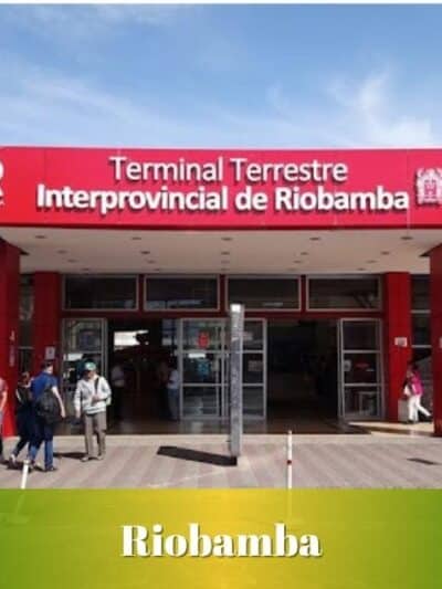 Servicio de Transporte