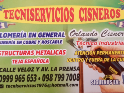 TECNISERVICIOS CISNEROS